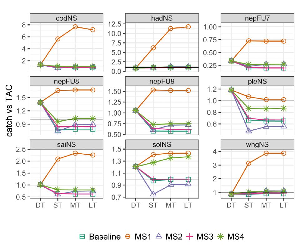 A grid of line plots showing how the ratio of total catch to TAC changes over time under each management strategy. 