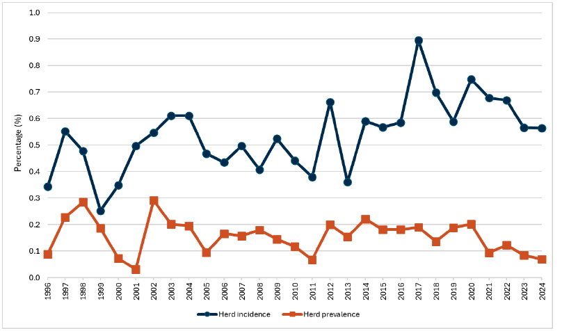 Line graph showing the herd incidence and herd prevalence of Bovine Tuberculosis in Scotland where both have measures have remained under 1% between 1996 and 2024. 