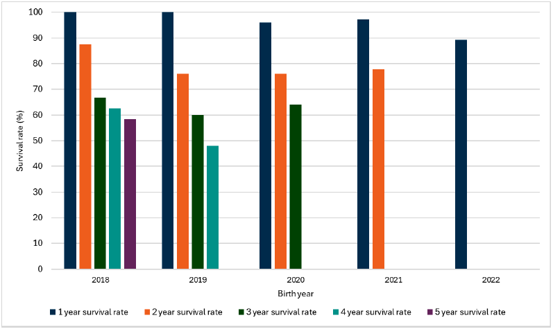 Bar chart shows the survival rates of new food and drink businesses launched in 2018, 2019, 2020, 2021 and 2022. Survival rates are shown for each year that data is available. 
