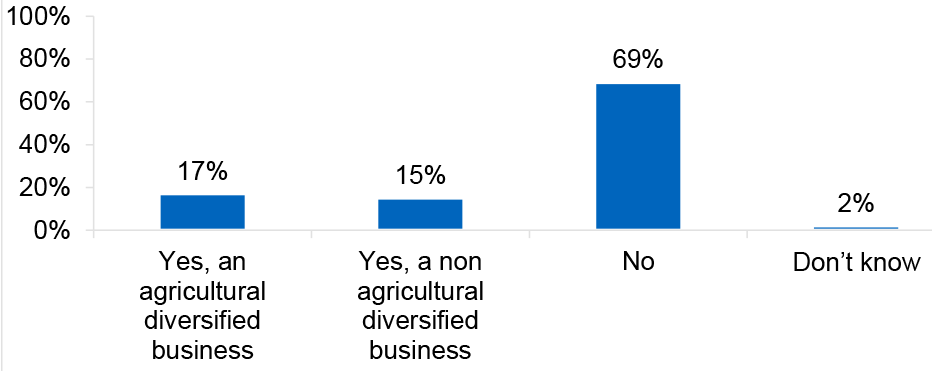 Bar chart showing most respondents do not have diversified businesses, though around one third do, split between agricultural and non agricultural activities.