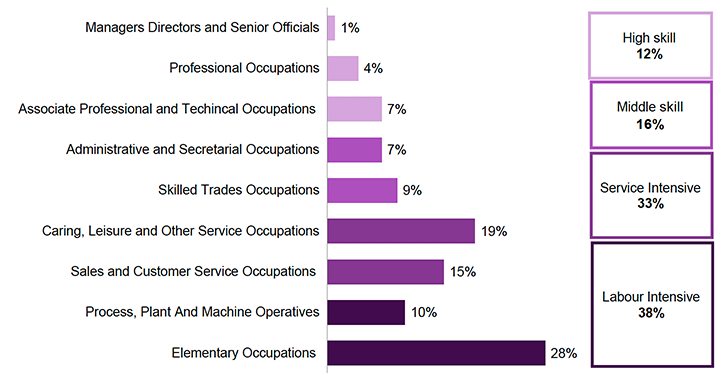 Figure 25. Bar chart showing occupational groups for the 2023–24 cohort. The largest group worked in labour intensive occupations (38%), 33% worked in service intensive occupations, 16% worked in middle skilled occupations, and 12% worked in high skilled occupations.