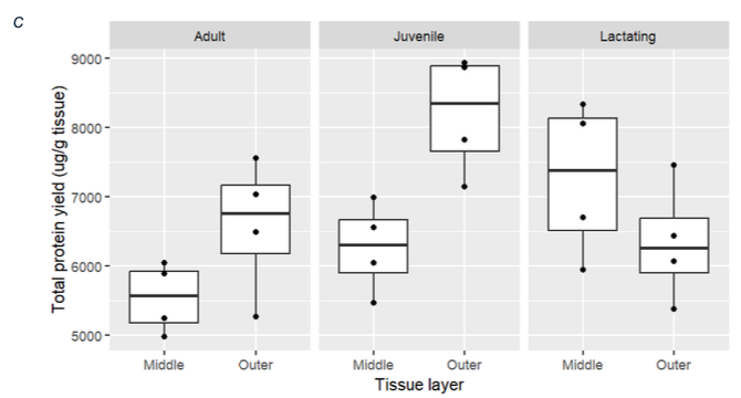 Total protein yield (µg/g tissue) vs tissue layer and categorised by age group and lactating females. Each point represents an observation; boxplots with upper and lower quartiles and 1.5 × interquartile range.
