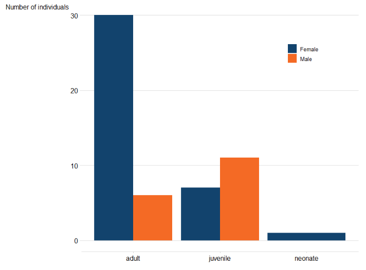 Graph providing summary overview of age group and sex of the 2023 MSE of long-finned pilot whales