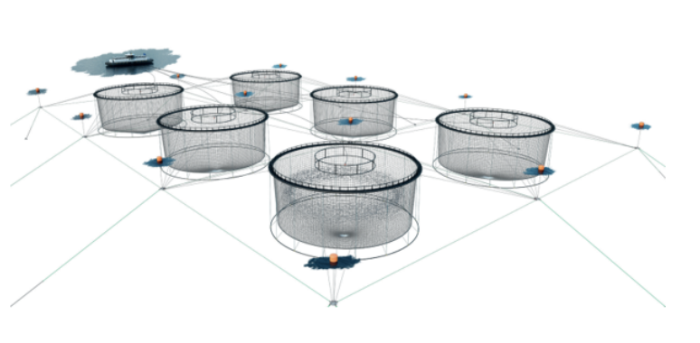Diagram showing the typical layout and infrastructure of finfish aquaculture pens. 