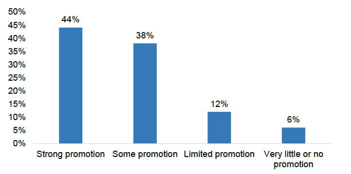 Bar chart showing deliverers’ views of senior leadership promotion of Hospital at Home. 