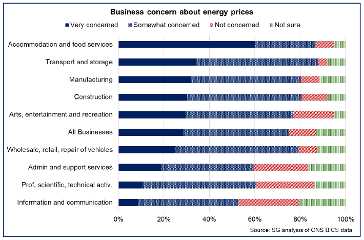 Bar chart showing that most businesses across sectors are at least somewhat concerned about energy prices, with more energy intensive sectors having higher shares of businesses being very concerned.