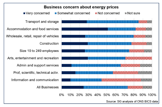 Bar chart showing that most businesses across sectors are at least somewhat concerned about energy prices, with more energy intensive sectors having higher shares of businesses being very concerned.