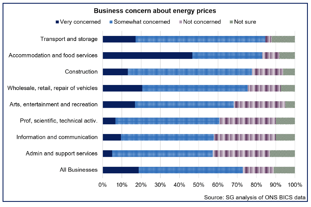 Chart showing transport and storage, and accommodation and food services sectors are most concerned about energy prices.