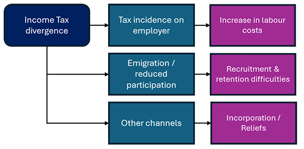 Possible channels of tax divergence include 1. higher employer costs 2. staffing difficulties 3. avoidance behaviour