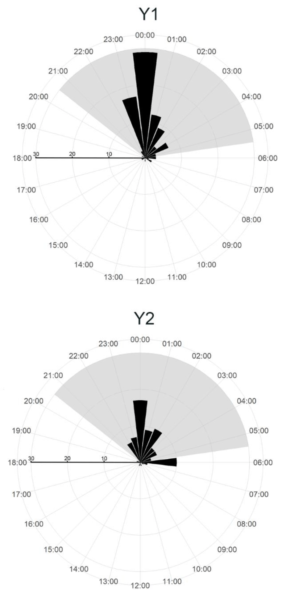 Two polar bar charts display data distributions over 24 hours for Y1 and Y2. Both charts use black bars on a grey radial grid with hour labels around the perimeter, showing peak values around midnight for Y1 and early morning for Y2.