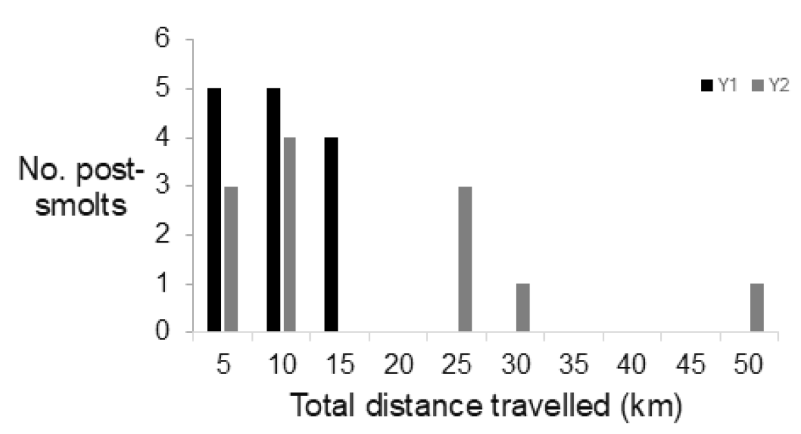 Bar chart comparing number of post-smolts against total distance travelled in kilometres for two groups labelled Y1 and Y2. Chart shows higher post-smolts counts for shorter distances, with Y1 consistently having more post-smolts than Y2 across all distance categories.