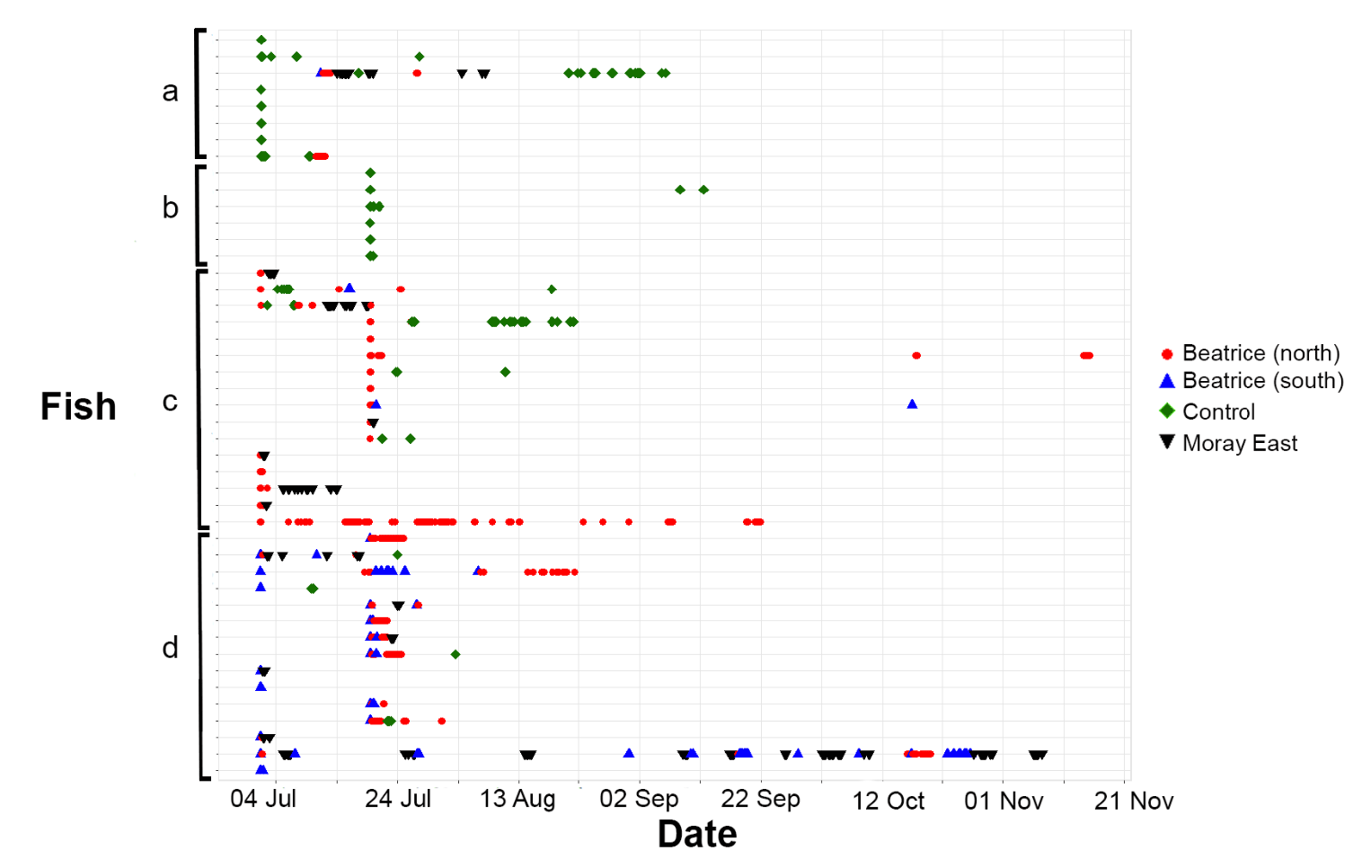 Scatter plot showing fish observations over time from early July to late November, categorised by four groups labeled a to d on the vertical axis. Data points use different coloured and shaped markers representing Beatrice (north) in red circles, Beatrice (south) in blue triangles, Control in green diamonds, and Moray East in black inverted triangles