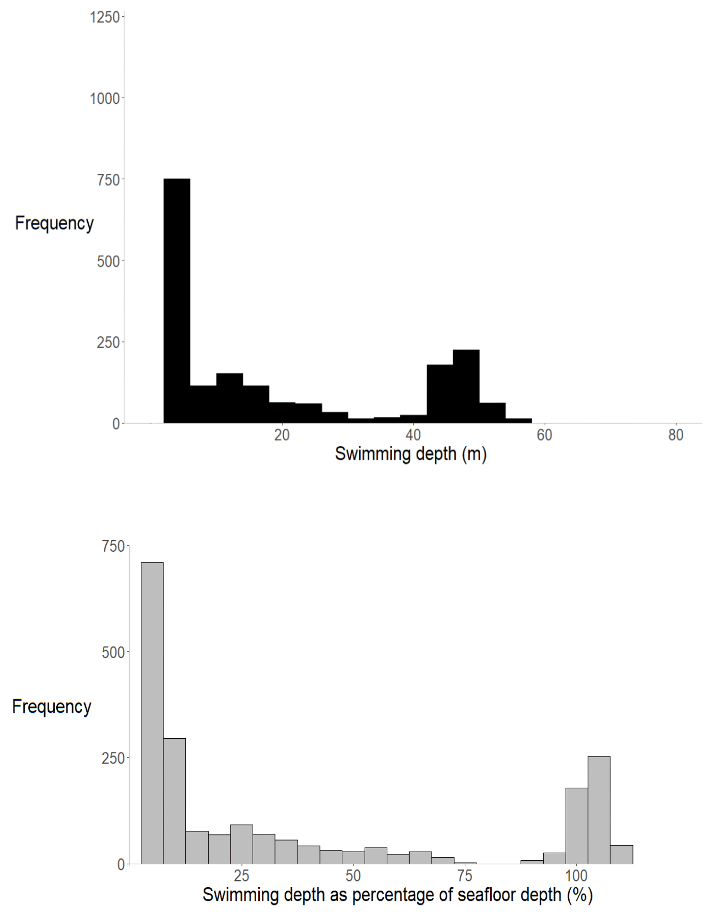 Bar chart showing frequency distribution of swimming depths in metres, with depth on horizontal axis and frequency on vertical axis. Highest frequency occurs at shallow depths around 5 metres, with a secondary peak near 50 metres, and lower frequencies at intermediate and greater depths.