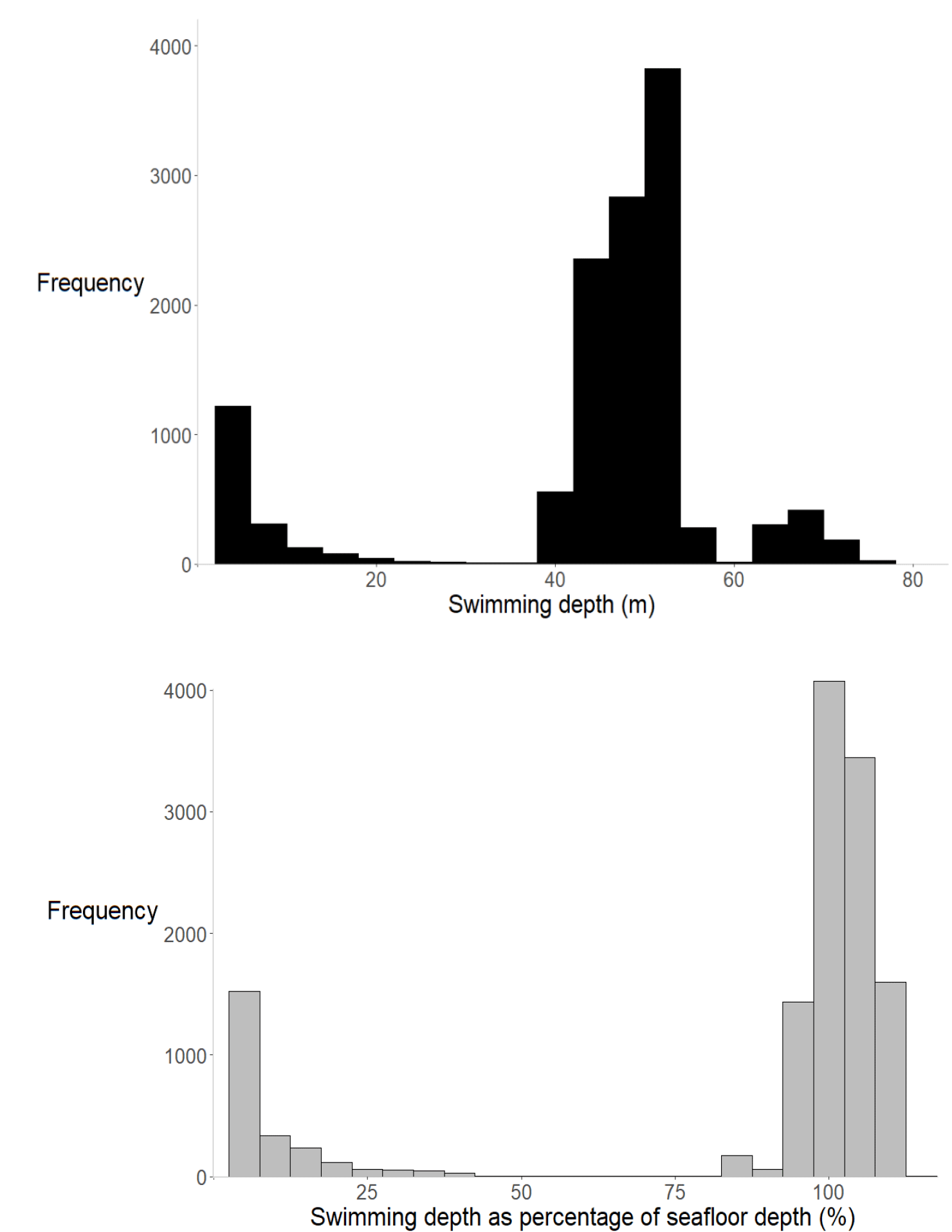Upper Bar chart showing frequency distribution of swimming depths in metres. Highest frequencies occur between 40-60 metres, with smaller peaks around 0-10 metres and 65-75 metres. Lower Bar chart showing frequency distribution of swimming depth as percentage of seafloor depth, with most data clustered near 0% and 100%. The chart uses grey bars and highlights two significant peaks, one around 0-5% and another around 95-100%, indicating common swimming depths close to surface and seafloor.