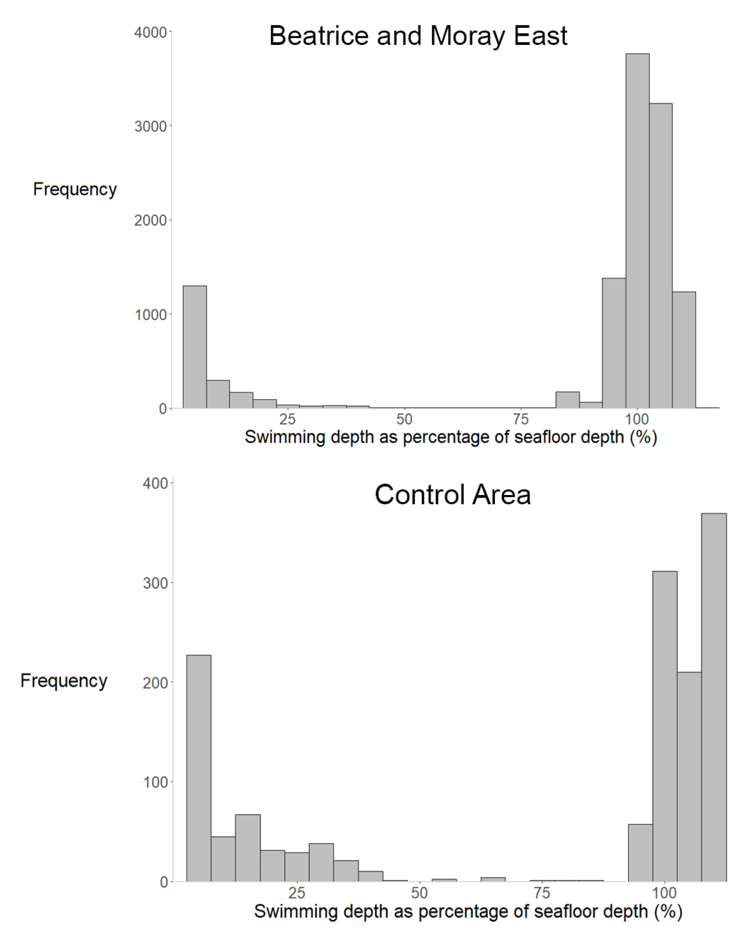 Upper Bar chart showing frequency distribution of swimming depth as a percentage of seafloor depth for Beatrice and Moray East. The chart features two prominent peaks around 0-10% and 90-110%, indicating most swimming occurs near surface or close to seafloor, with frequency values labelled on vertical axis and percentage on horizontal axis. Lower Bar chart showing frequency distribution of swimming depth as percentage of seafloor depth in control area, with x-axis ranging from 0% to 100% and y-axis showing frequency up to 400. Two prominent peaks appear near 0% and 100%, indicating most swimming occurs close to seafloor surface or at seafloor level, with fewer instances at intermediate depths.