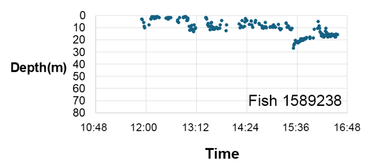 Scatter plot showing depth in metres of Fish 1589238 over time from 10:48 to 16:48, with depth values mostly between 0 and 20 metres. Data points cluster near surface with a brief increase in depth around 15:36, indicating changes in fish vertical movement throughout the day.