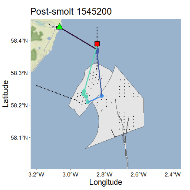 Map showing post-smolt movement tracked by latitude and longitude, with a green triangle marking the starting point and a red square indicating the endpoint. Blue and purple lines trace different routes taken across a coastal area shaded in grey with dotted regions, highlighting variations in travel paths.