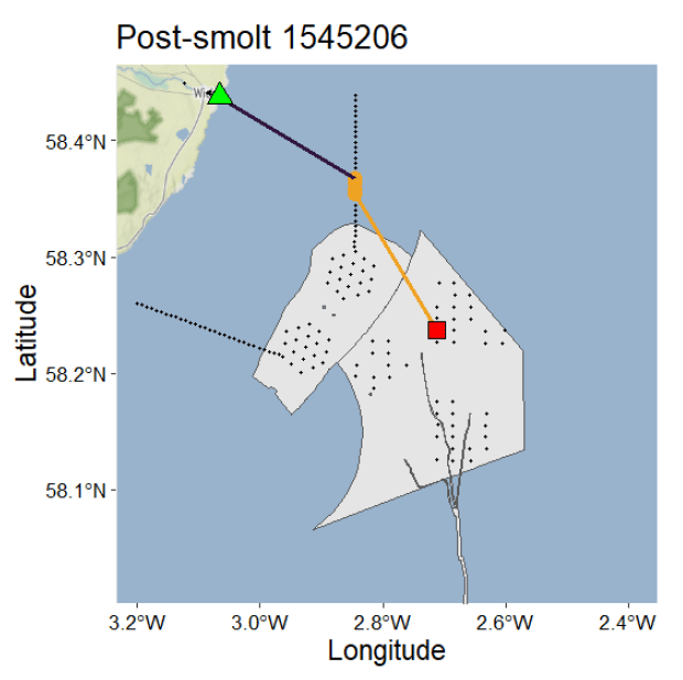 Map showing post-smolt tracking with latitude and longitude coordinates marked on axes, highlighting movement from a green triangle at 58.4°N, 3.2°W to a red square near 58.2°N, 2.6°W. Key elements include a grey shaded area with dotted patterns, black dashed lines indicating paths, and coloured lines connecting markers to illustrate migration route.