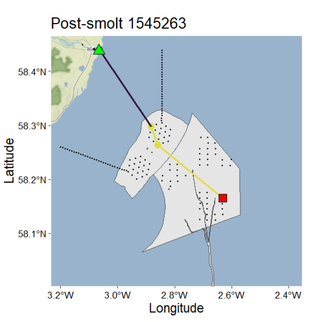 Map showing post-smolt migration path of a fish tagged 1545263, with latitude and longitude coordinates marked along axes. Key elements include a green triangle indicating starting point, a red square marking endpoint, and a yellow line tracking movement through a shaded, dotted area representing a specific marine region.