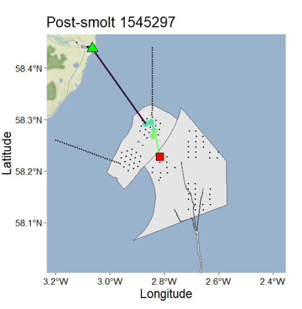 Map showing post-smolt 1545297 tracking data with latitude and longitude coordinates, highlighting movement from a green triangle near land to a red square offshore. Grey shaded area with dotted lines represents specific zones or regions relevant to tracking, with a purple line indicating the path taken.