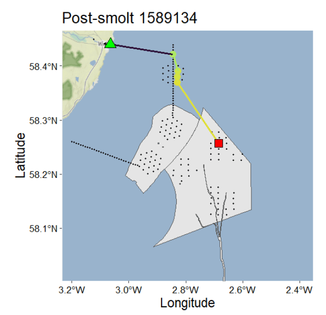 Map showing post-smolt 1589134 tracking with latitude and longitude coordinates along coastal and offshore areas. Key elements include a green triangle, red square, and coloured lines indicating movement paths, with shaded regions and dotted patterns representing specific zones or habitats.