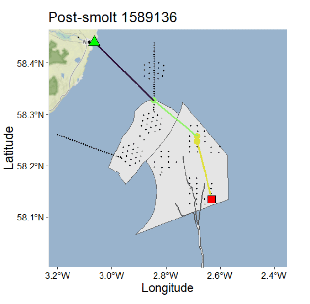Map displaying post-smolt 1589136 tracking data with latitude and longitude coordinates, showing movement paths marked by colored lines connecting a green triangle, yellow circles, and a red square. The map includes a coastal outline, shaded area with dotted patterns, and dashed lines indicating specific zones or boundaries relevant to the tracking study.