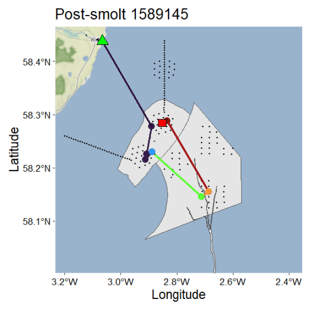Map showing movement paths of a post-smolt fish tagged 1589145, with latitude and longitude coordinates marked on axes. Different coloured lines (purple, red, green) connect various points including a green triangle, red square, orange circle, and blue circles, indicating tracking locations and migration routes within a coastal area.