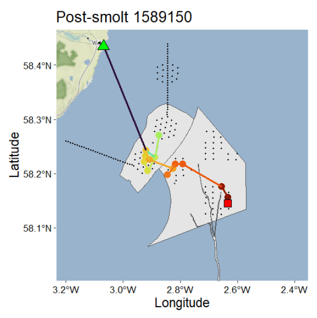 Map showing post-smolt 1589150 movement with latitude and longitude coordinates marked on axes. Path traced with coloured markers from red square to green triangle, passing through orange and yellow points within a grey shaded area, indicating tracked migration route and key locations.