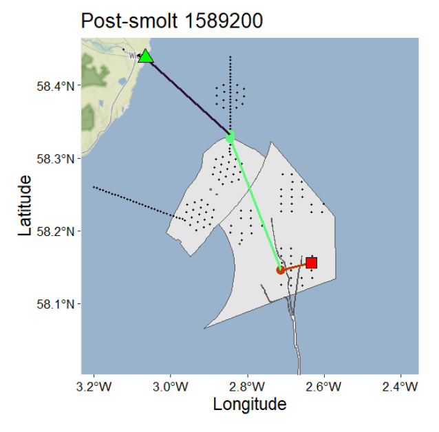 Map showing post-smolt tracking data with latitude and longitude coordinates, highlighting movement paths between marked points. Key elements include green triangle, red square, and dotted black areas indicating specific locations and tracked routes, illustrating migration or movement patterns.