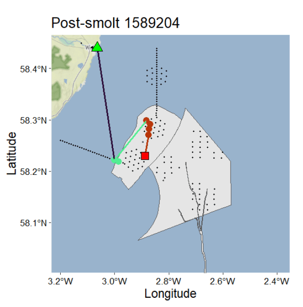 Map showing post-smolt 1589204 movement with latitude and longitude coordinates marked. Key elements include a green triangle, red square, and connected coloured lines indicating tracked positions and paths within a coastal area.