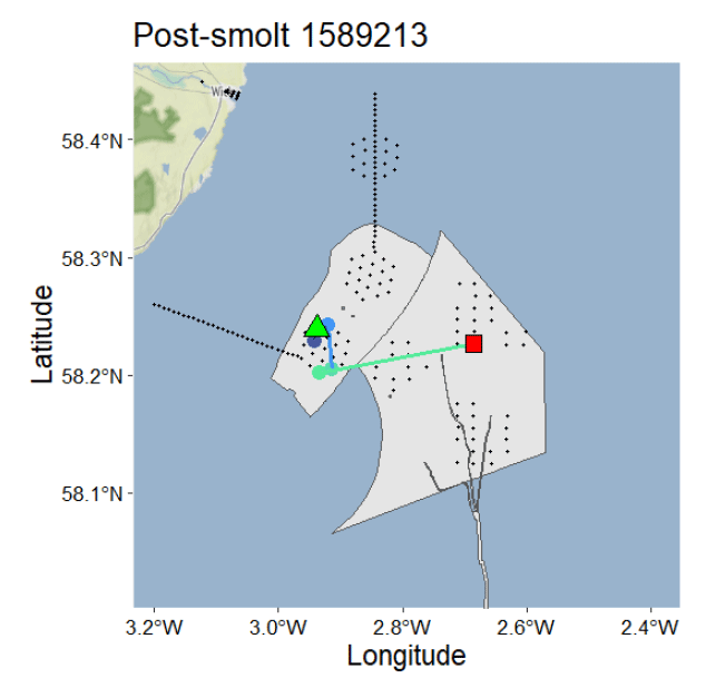 Map showing post-smolt tracking data with latitude and longitude coordinates marked along axes. Key features include a green triangle, blue circle, and red square connected by green lines within a grey-shaded area, indicating movement or location points and boundaries.
