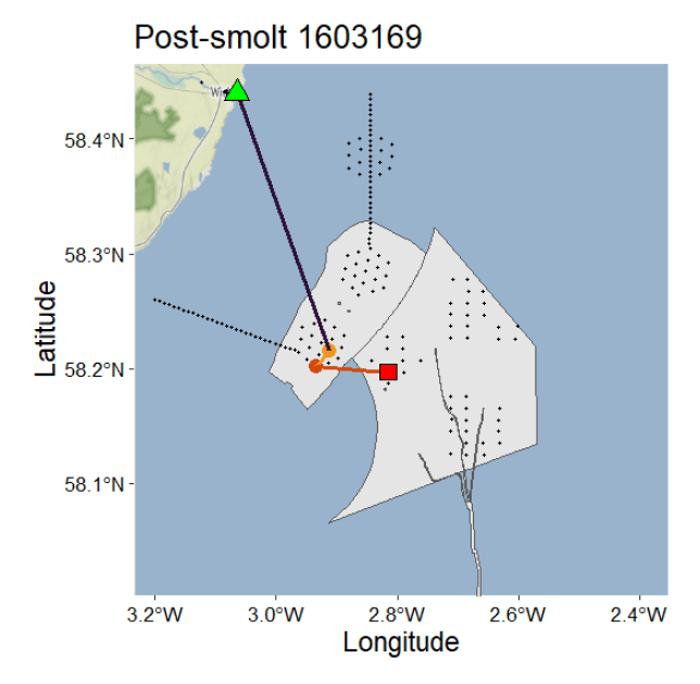 Map showing post-smolt 1603169 tracking with latitude and longitude coordinates marked along axes. Key features include a green triangle, orange circle, and red square connected by a purple line, overlaid on a grey polygon representing a specific marine area with dotted patterns and coastal outline.