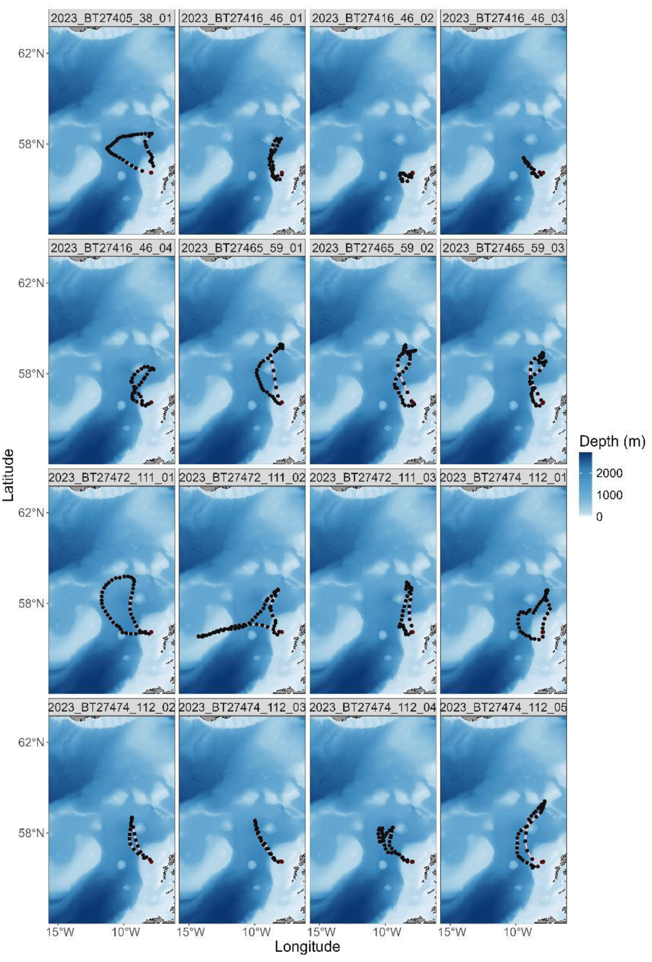 A series of GPS tracks from Leach's Storm-petrels during chick provisioning between June and July 2023 from St. Kilda.