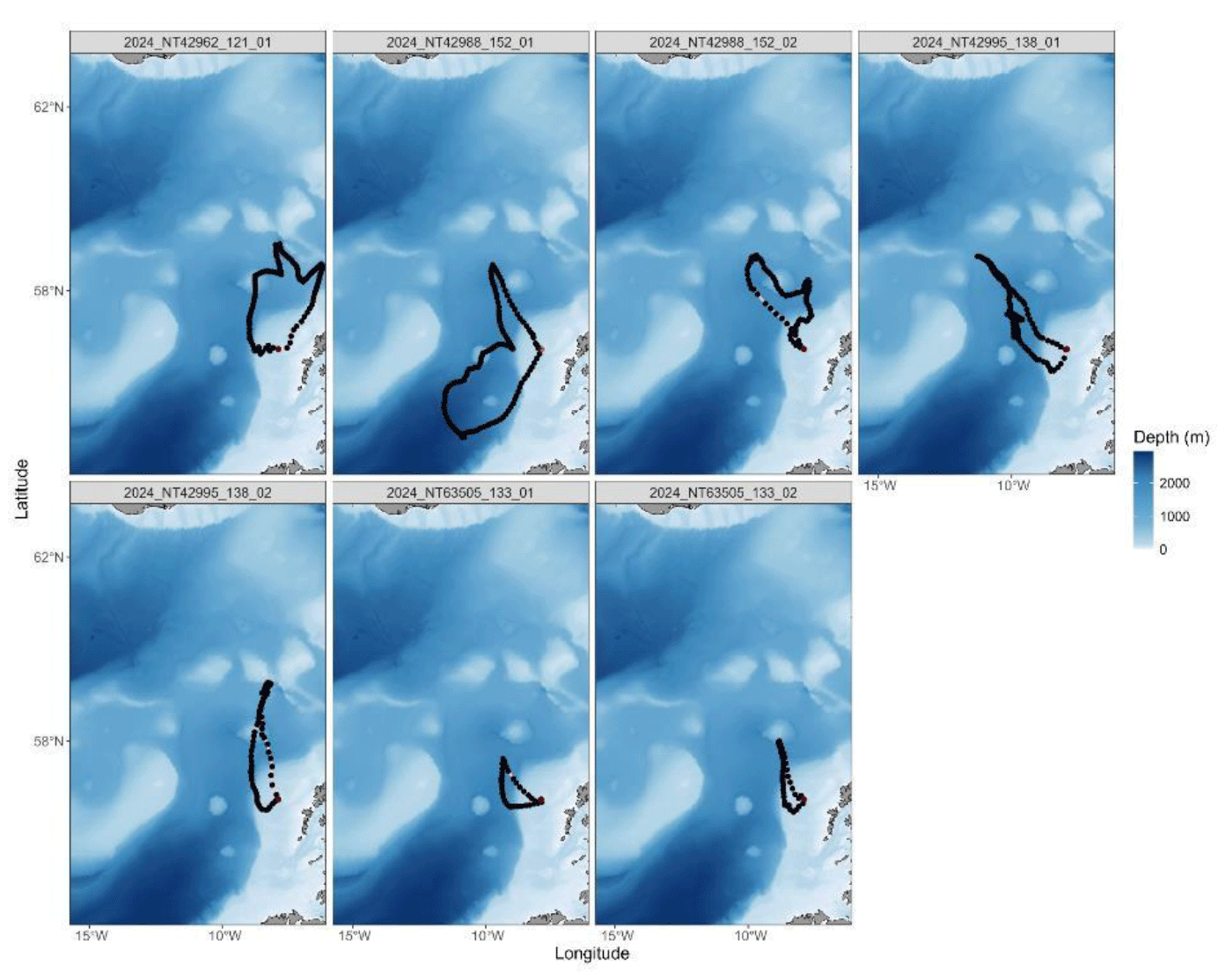 A series of GPS tracks from Leach's Storm-petrels during chick rearing between June and July 2024 from St. Kilda.