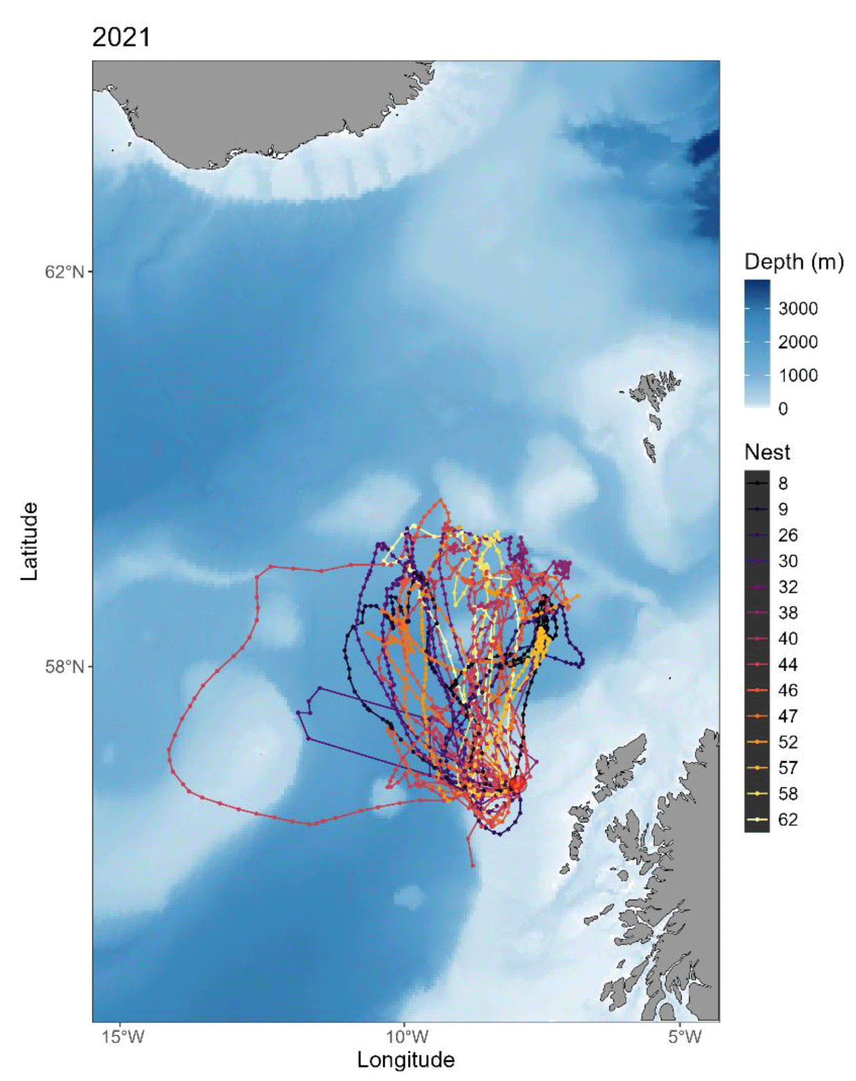 GPS tracks of all Leach’s Storm-petrel individuals tracked in 2021 from St Kilda