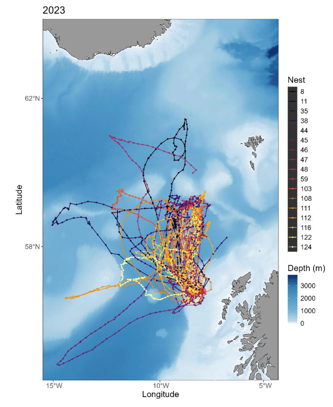 GPS tracks of all Leach’s Storm-petrel individuals tracked in 2023 from St Kilda