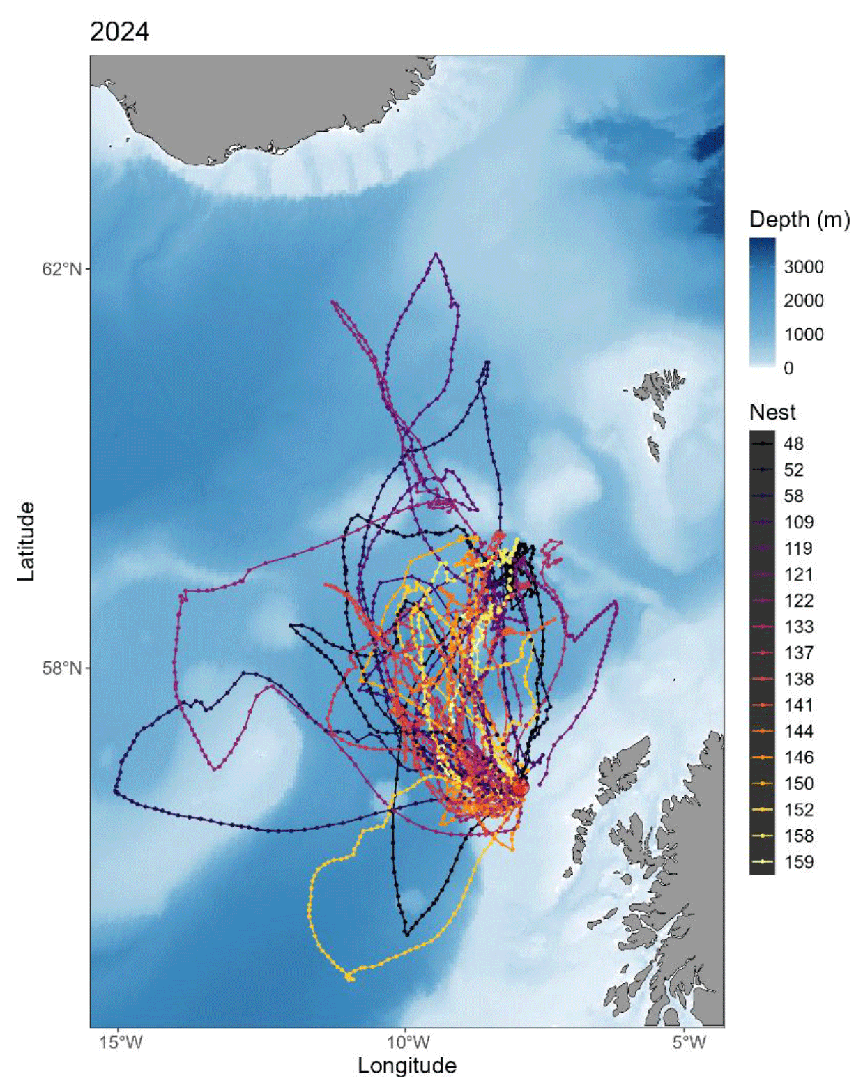  GPS  tracks of all Leach’s Storm-petrel individuals tracked in 2024 from St Kilda