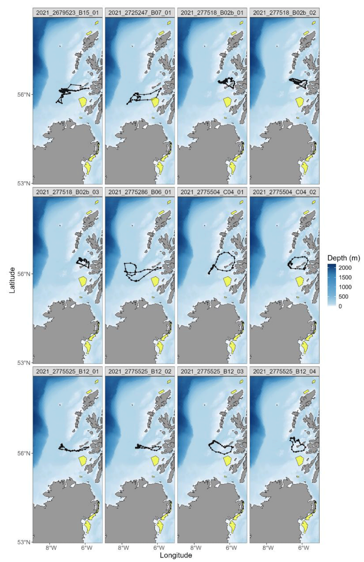A series of  GPS  tracks from European Storm-petrels tracked in July and August of 2021.