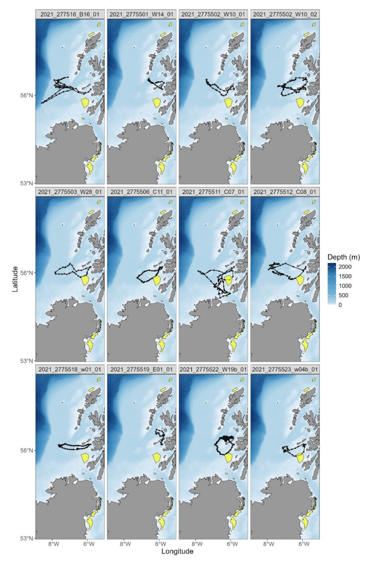 A series of  GPS  tracks from European Storm-petrels tracked in July and August of 2021.