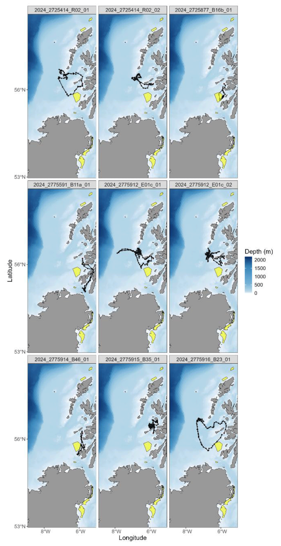 A series of  GPS  tracks from European Storm-petrels tracked in July and August of 2024.