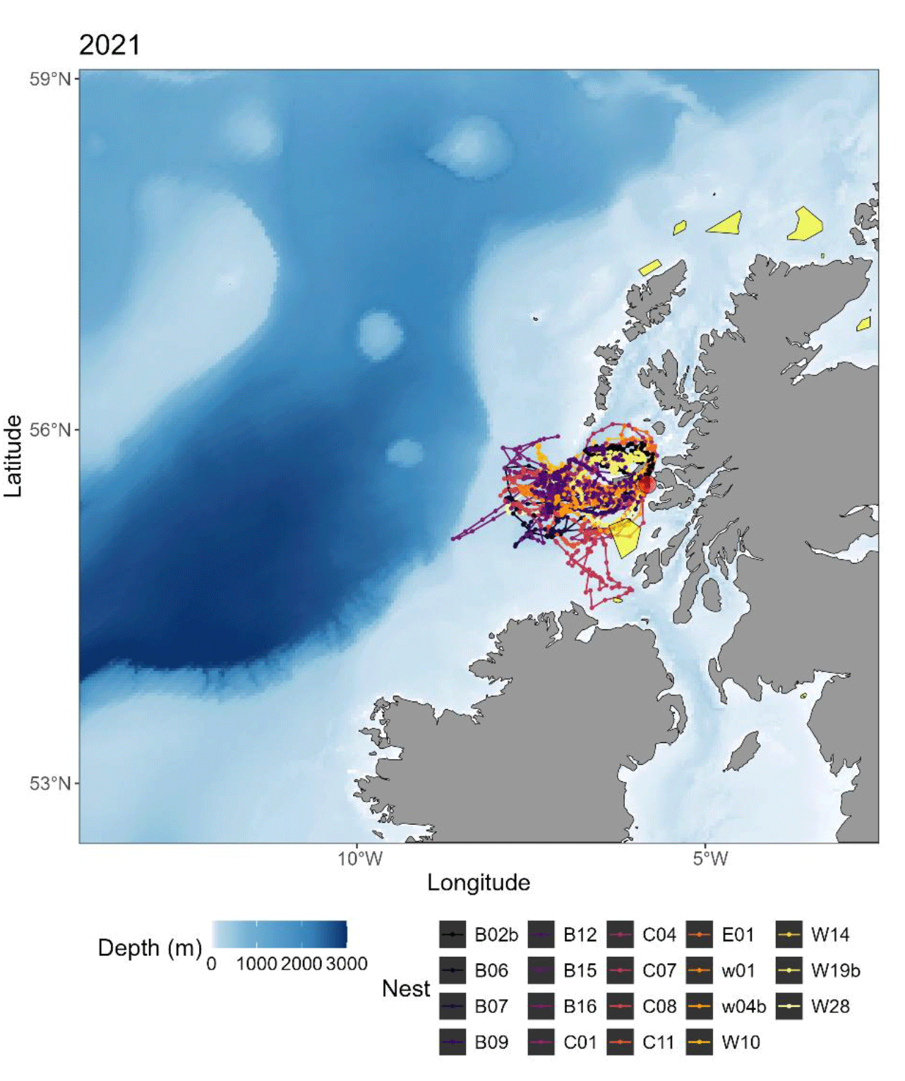 A series of  GPS  tracks from European Storm-petrels tracked in July and August of 2021.