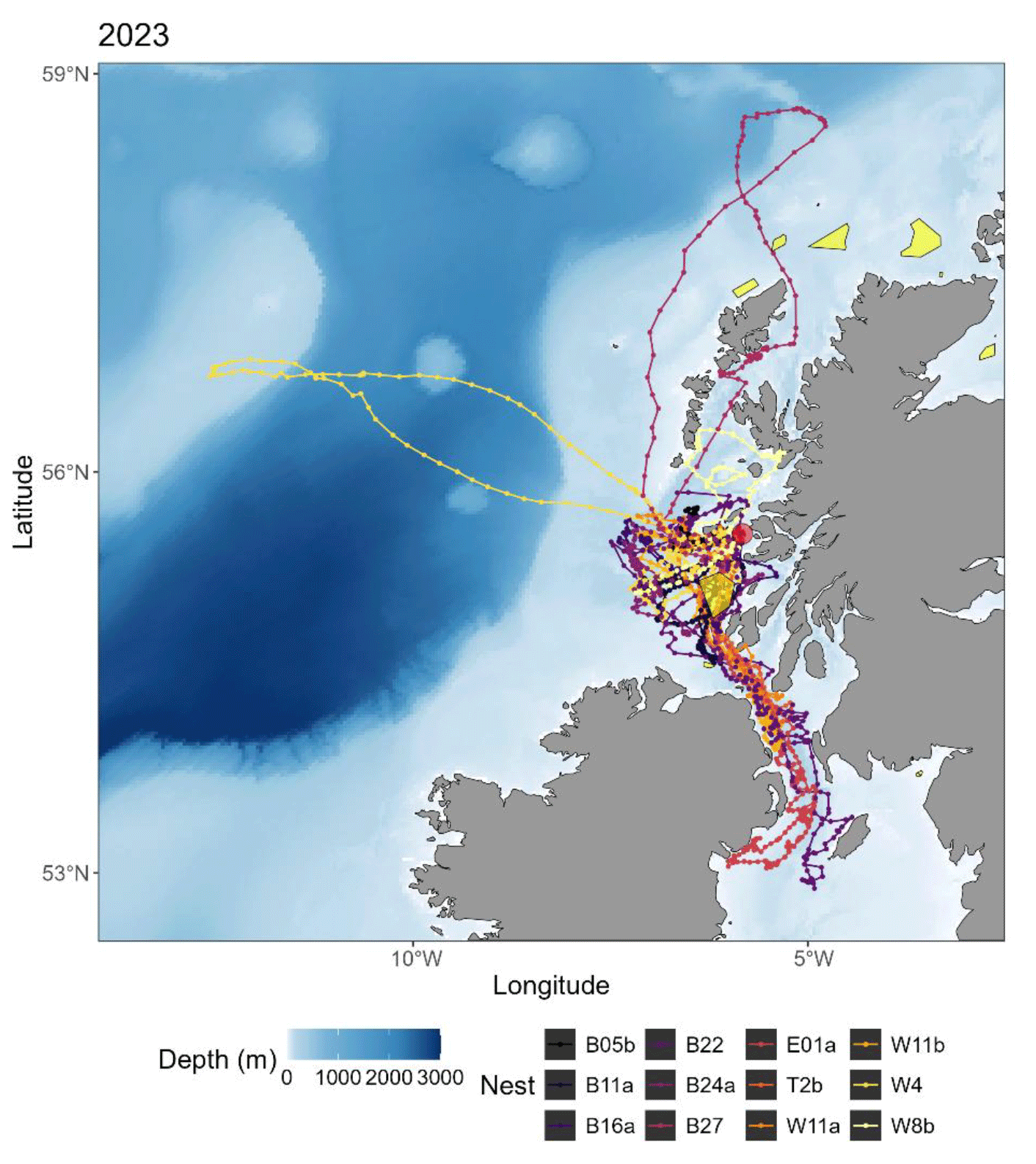 A series of  GPS  tracks from European Storm-petrels tracked in July and August of 2023.