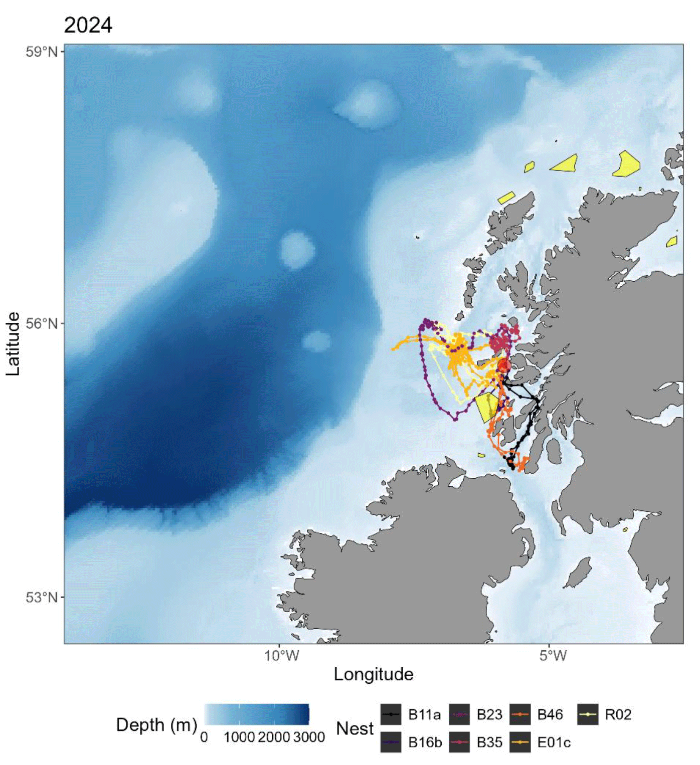A series of  GPS  tracks from European Storm-petrels tracked in July and August of 2024.