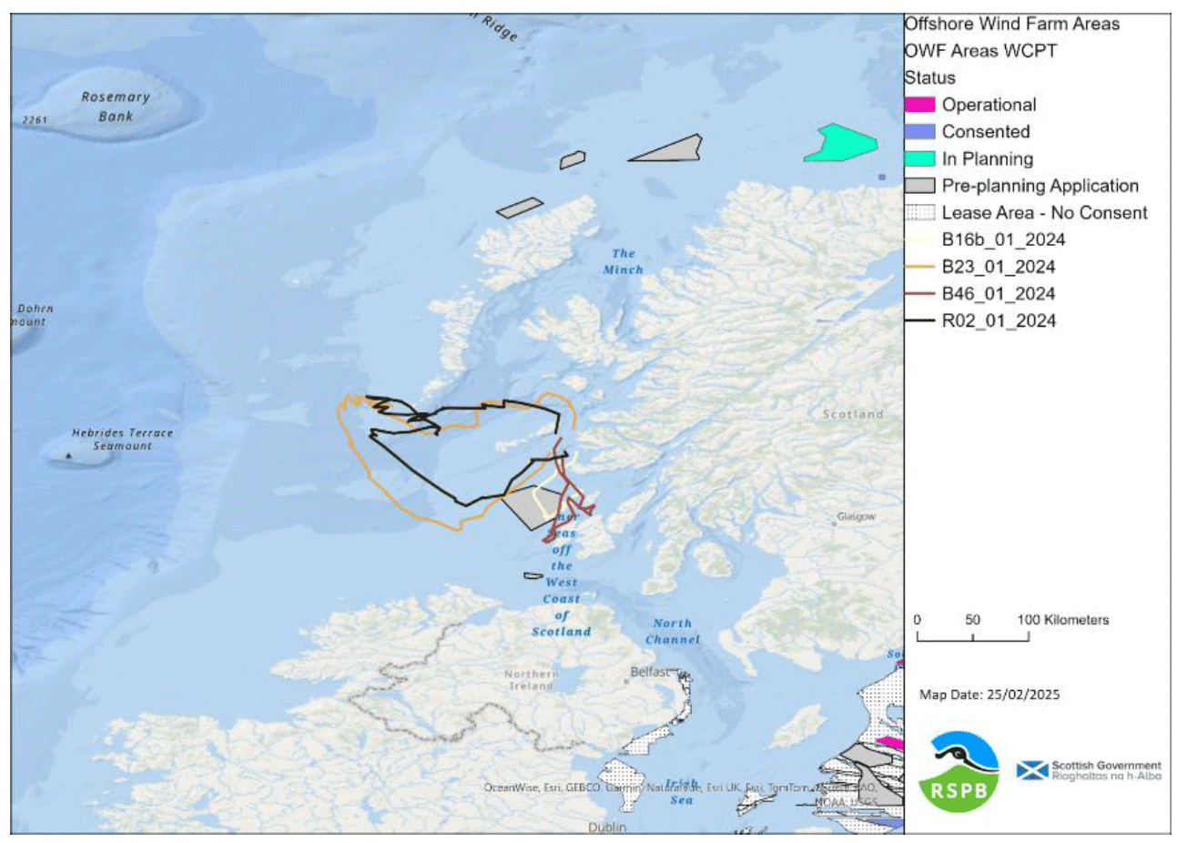 Tracks of European Storm-petrels which appear to have passed through or near to an OWF lease area in 2024.