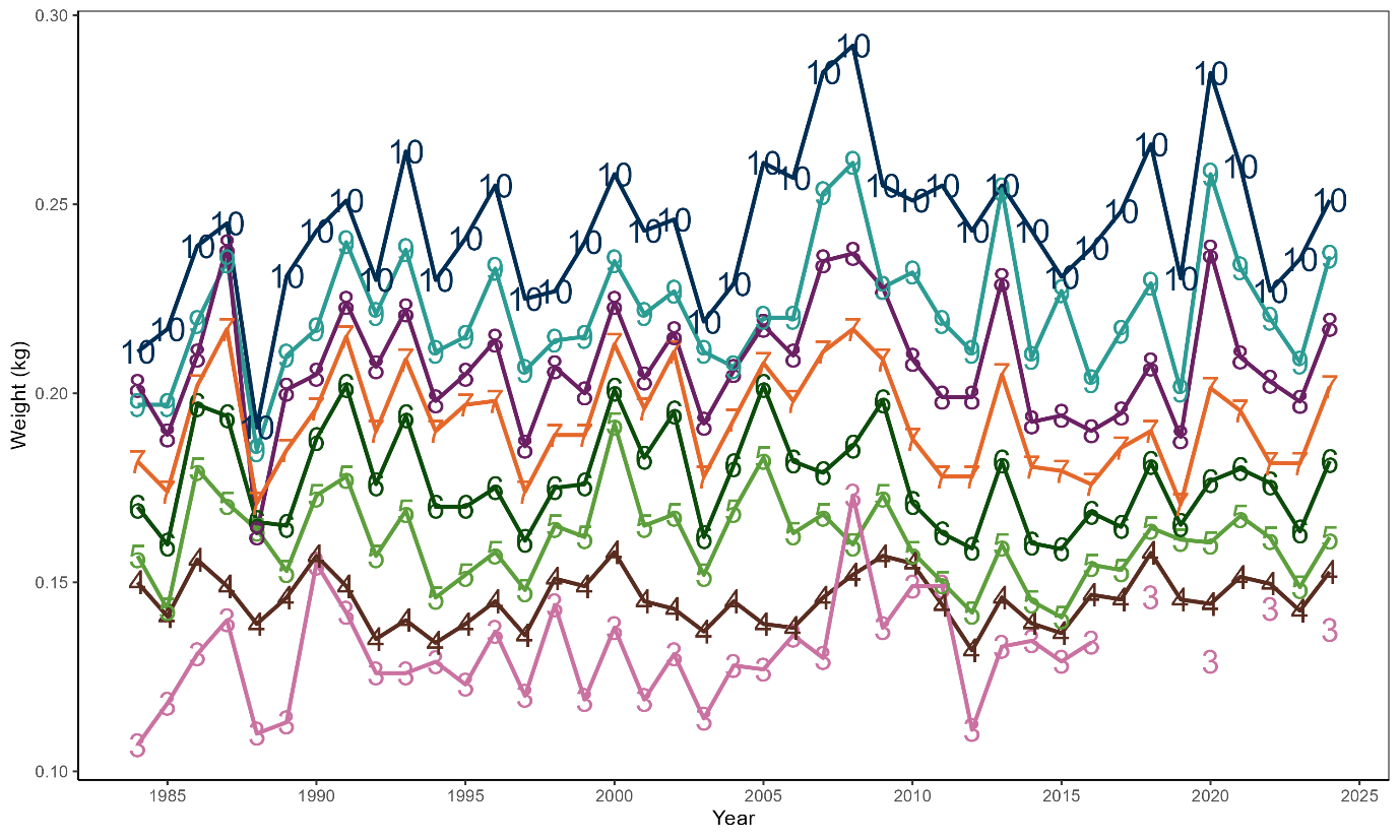 Line plot showing the fluctuations in mean weight in kg by age over time for scallops in the North East area.