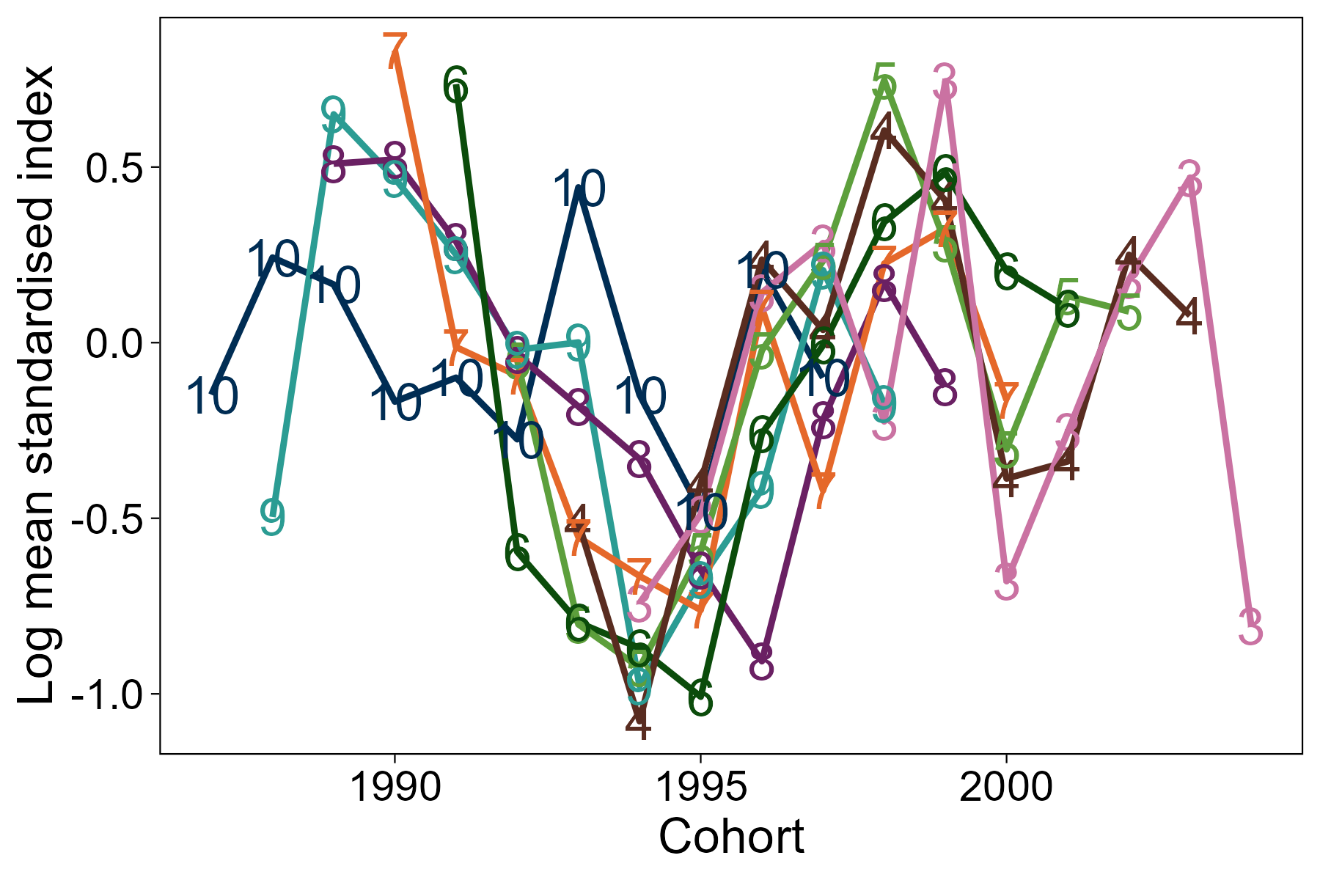 Top: Line graph of log mean standardised index at age by cohort from the Clupea survey of the North East area.