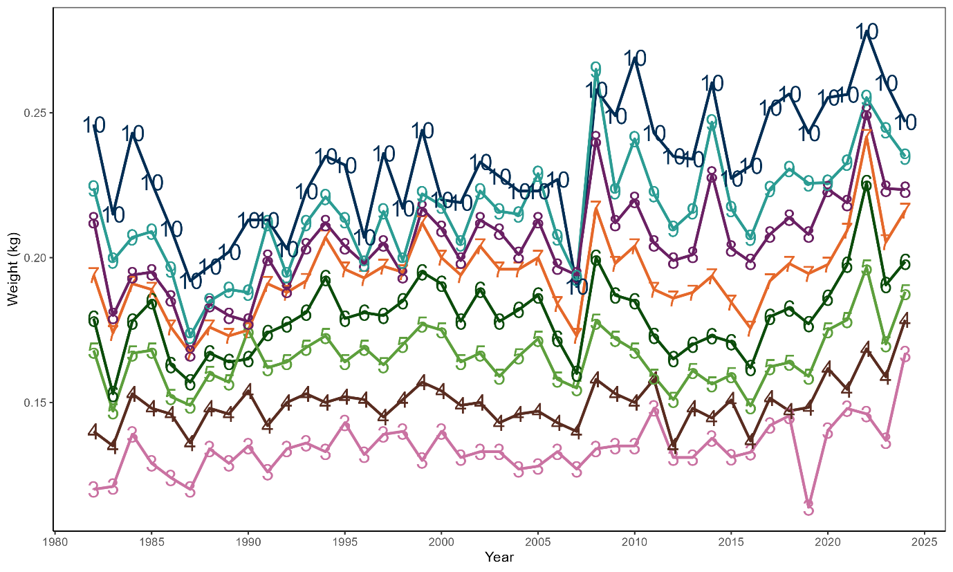 Line plot showing the fluctuations in mean weight in kg by age over time for scallops in the North West area.