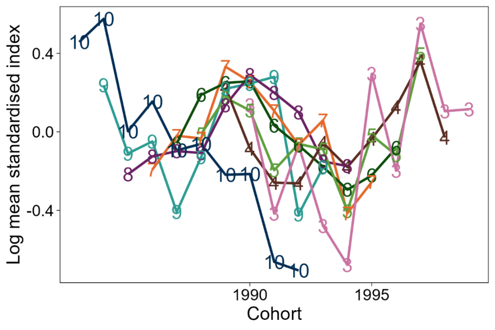 Top: Line graph of log mean standardised index at age by cohort from the Aora 1 survey of the North West area.