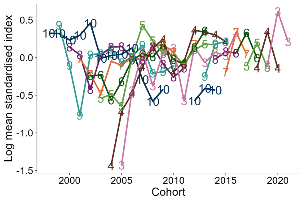 Bottom: Line graph of log mean standardised index at age by cohort from the Alba survey of the North West area.