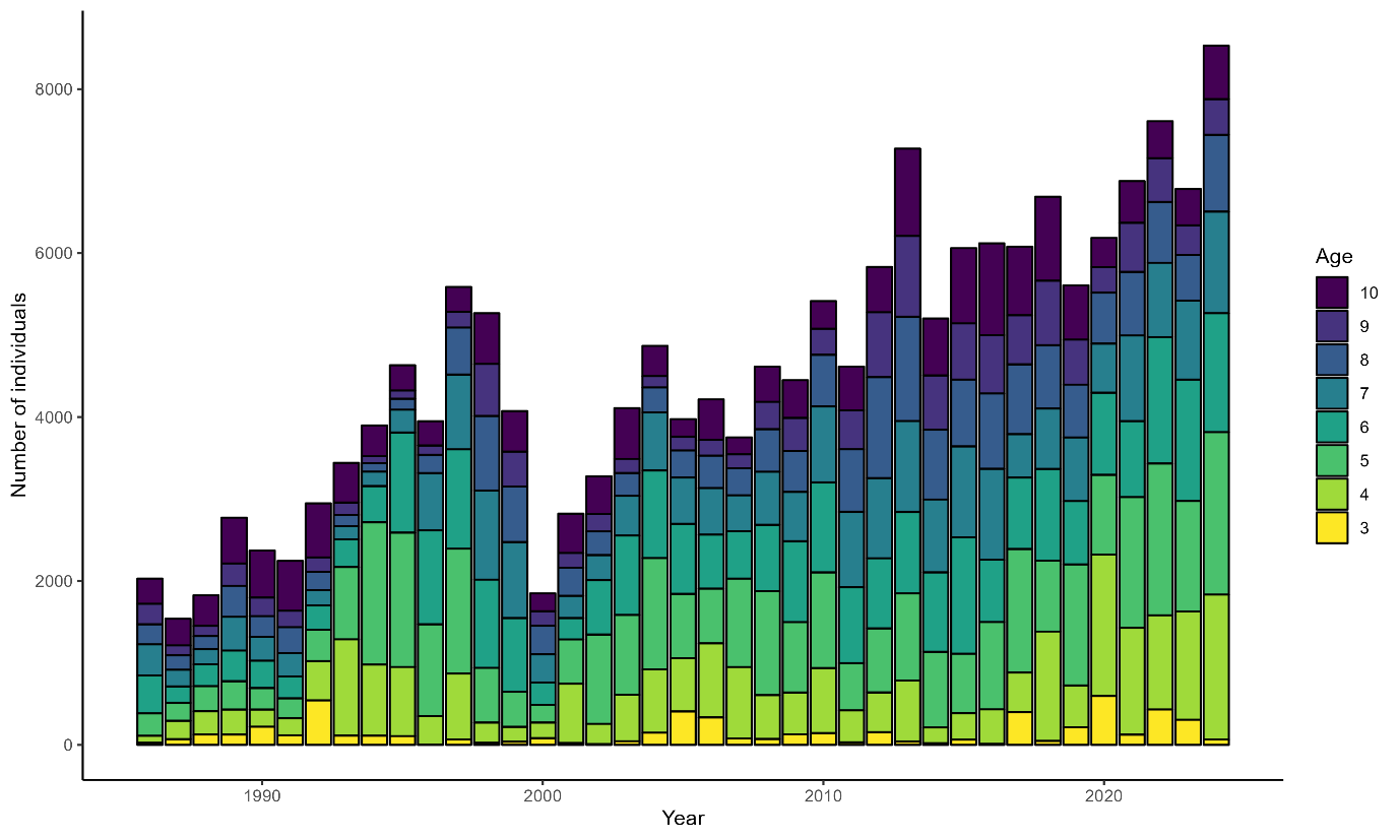 Bar plot of the total number of scallops caught in the Shetland area over time with bars subdivided by age class.
